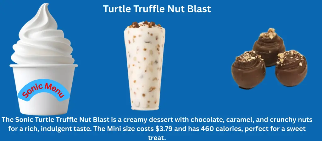 Sonic Turtle Truffle Nut Blast – Taste, Size & Nutrition For 2026 1 The Sonic Turtle Truffle Nut Blast is a creamy dessert with chocolate, caramel, and crunchy nuts for a rich, indulgent taste.
